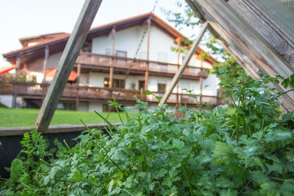 Auszeit-Wohnungen Aidenbach Bagian luar foto